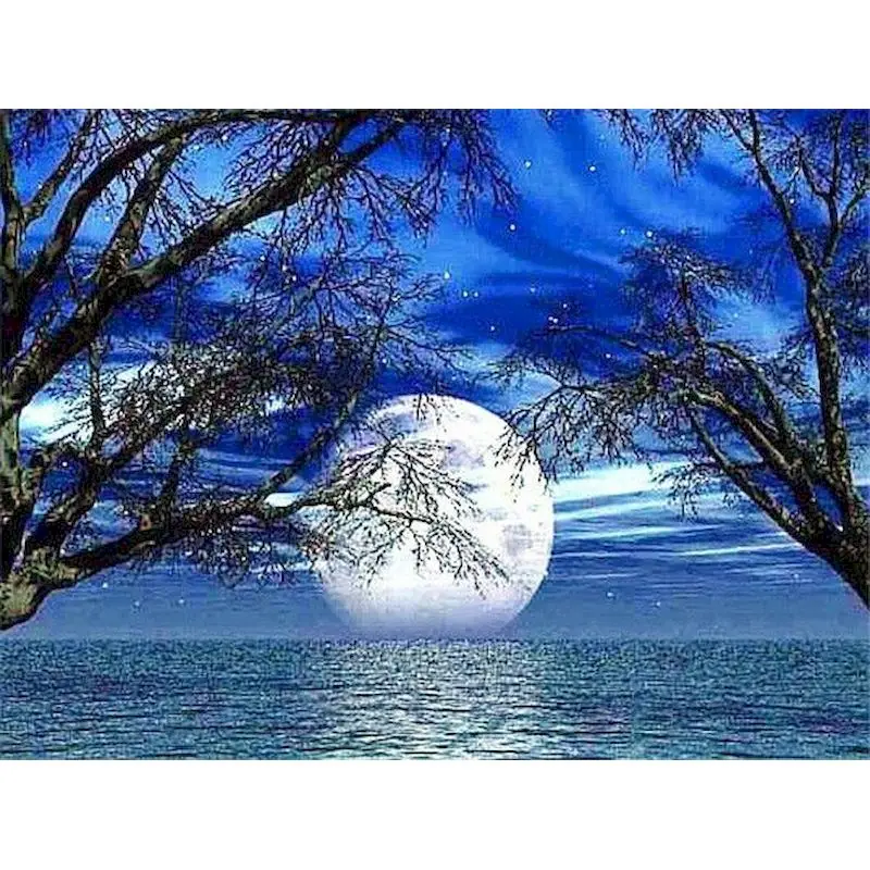 

Картина по номерам в рамке для взрослых, 60x75 см