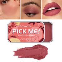 multi use makeup palette 3 in 1 lipstick blush face eye shadows pallet waterproof lasting lightweight matte lip tint cheek blush