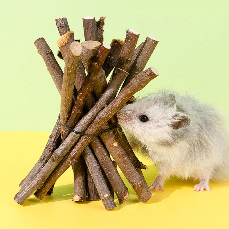 

Pet Hamster Tooth Grinding Rod Tooth Grinding Rabbit Dragon Cat Dutch Pig Guinea Pig Supplies Apple Branch Tooth Grinding Rod