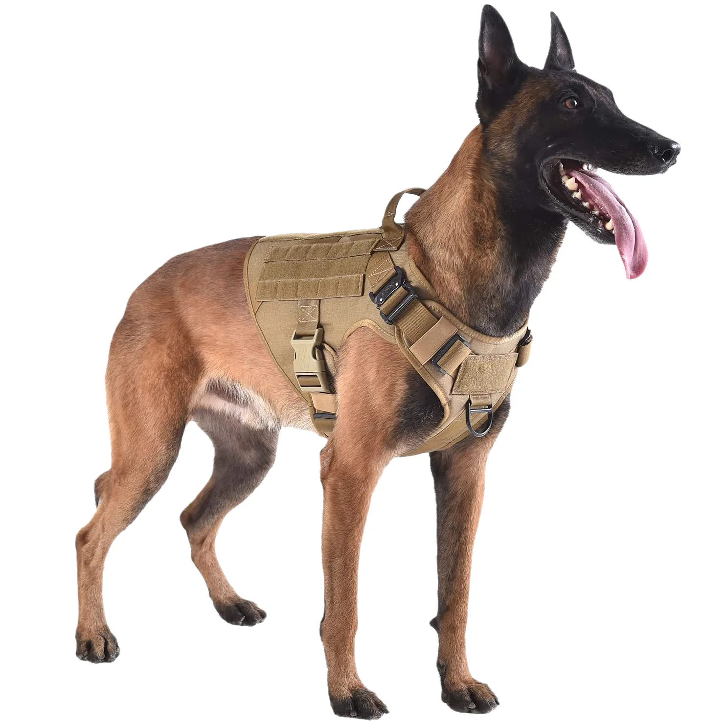 

1000D Outdoor Medium And Large Dog Tactics Molle Piggyback Vest Pet Horse Dog Vest Chest Strap Dog Clothes