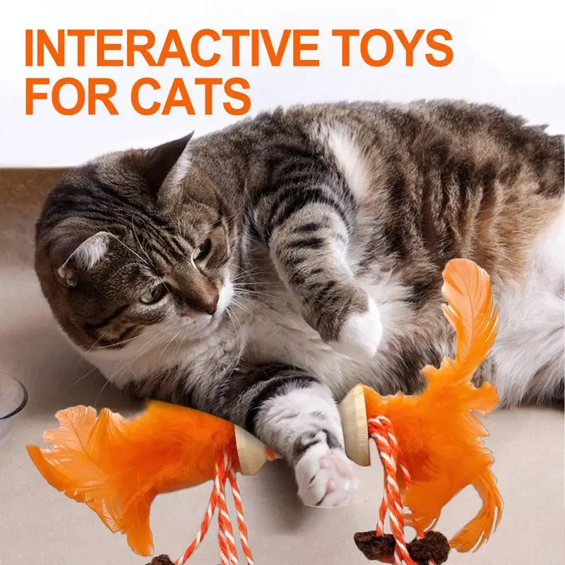 z kocimiętką zabawka do żucia koty domowe dzwoneczkiem kolorowe pióra interaktywna odpornego na zużycie drewno odporne gryzienie