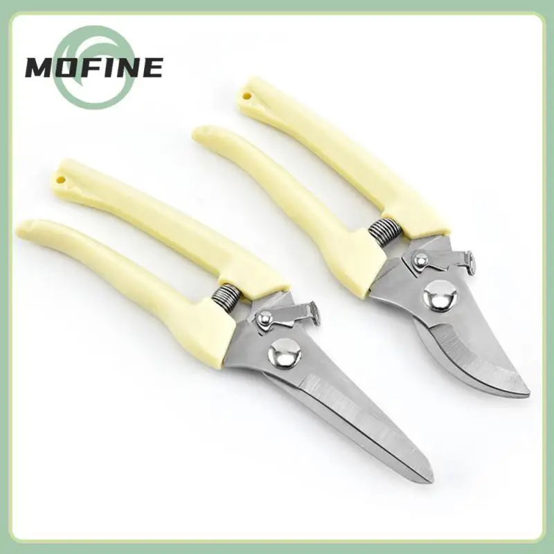 

Convenient Orchard Scissors 17x.24.x8cm Garden Scissors Small Easy To Use Garden Pruning Shears Hand Tools Easy To Carry Durable