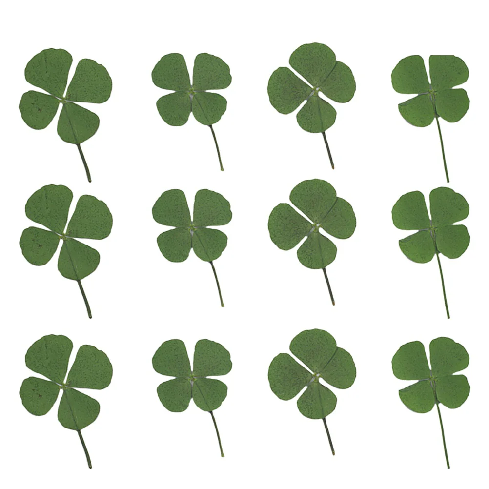 12 шт. милые четырехлистные сушеные ювелирные аксессуары декоративные материалы