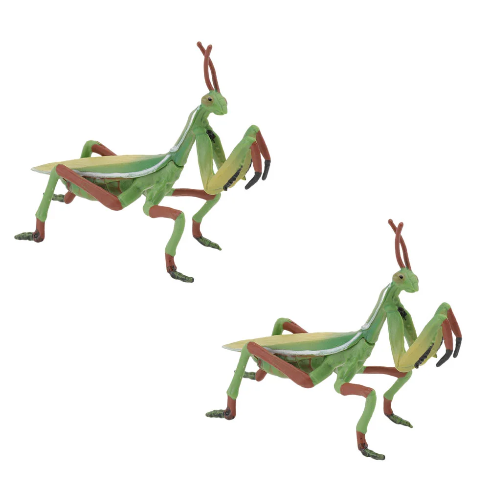 

Insect Figurine Grasshopper Ornament Toy Model Sculpture Garden Wall Animalsimulation Decoration Figures Realistic Praying