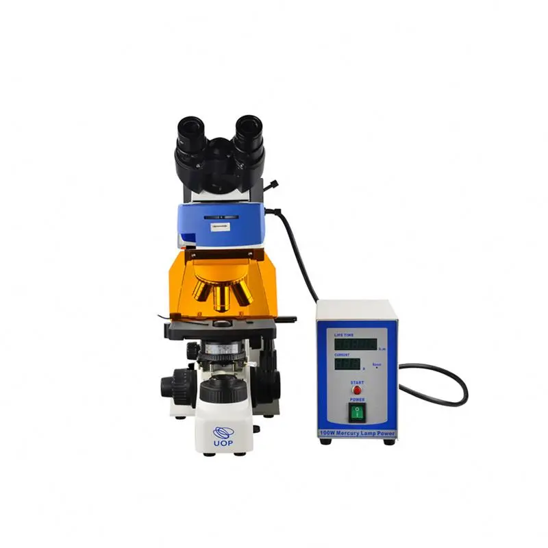 

dichroic mirror fluorescence microscope dapi filter zeiss for Fluorescence Microscopy