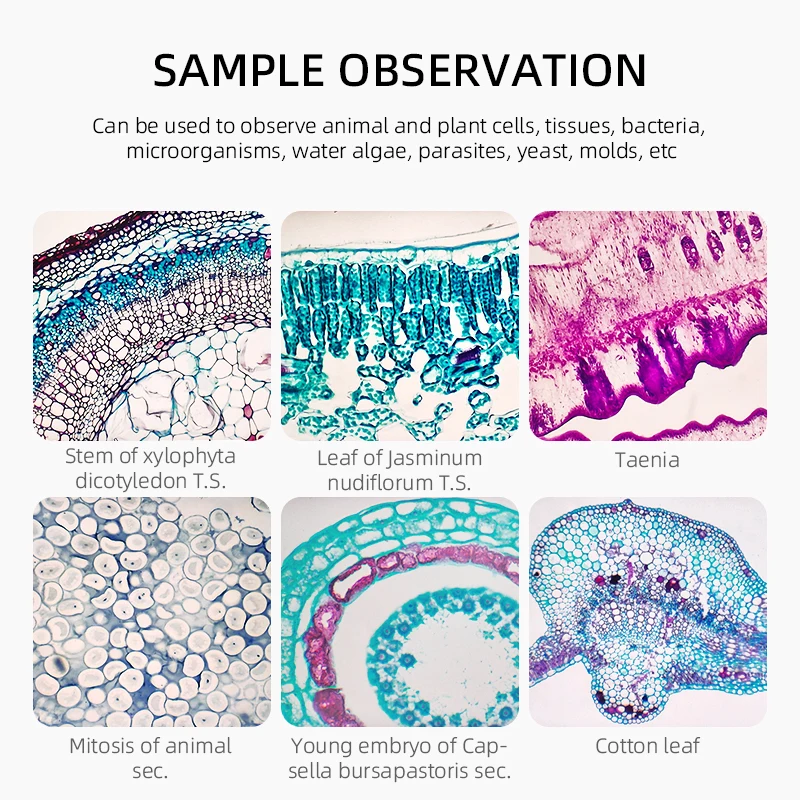 Профессиональный лабораторный биологический HD-микроскоп 40X-1600X композитный