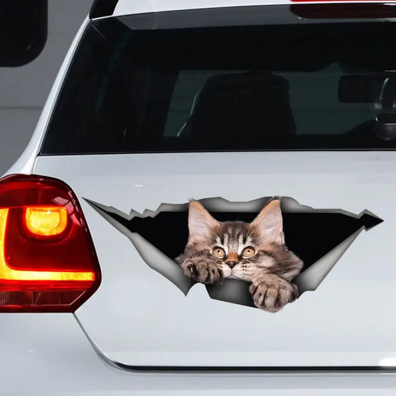 

Kitten car decal, Kitty Maine Coon car decal, funny sticker, Kitten car sticker