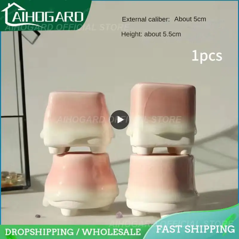 

Succulents Plant Pot For Succulent Cactus Plants Creative Potted Flower Vase Glazed Ceramic Plant Pot Fleshy Flowerpot Balcony