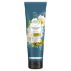 HERBAL ESSENCES Бальзам-ополаскиватель Марокканское аргановое масло 275мл