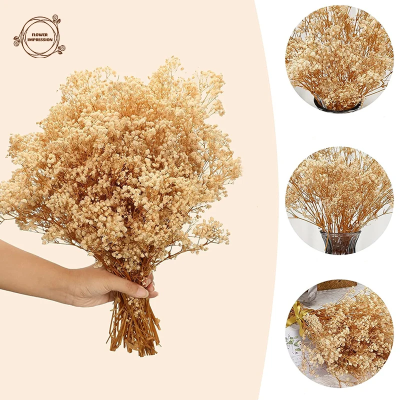 

Natural Gypsophile Dried Flowers Wedding Decoration Baby Braath Bridal Bouquets Photography Props Home Decor Artificial Flower
