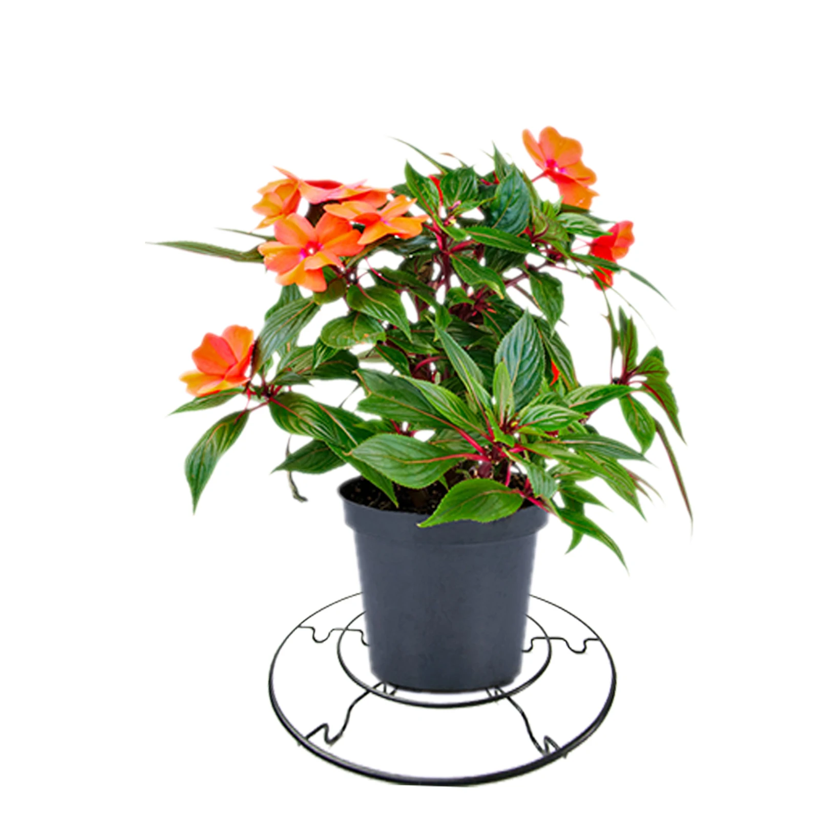 

Flower Pot Support Black Metal Flower Pot Stands Round Potted Plant Stand Planter Racks Rustproof Iron Supports For Garden Patio