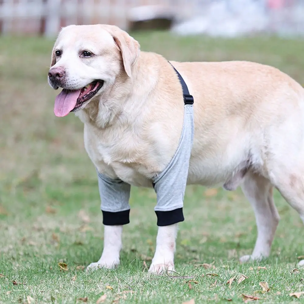 

Pet Front Leg Protective Sleeve Joint Warm Dog Leg Sleeve Anti-Lick Wound Knee Pad Pet Supplies