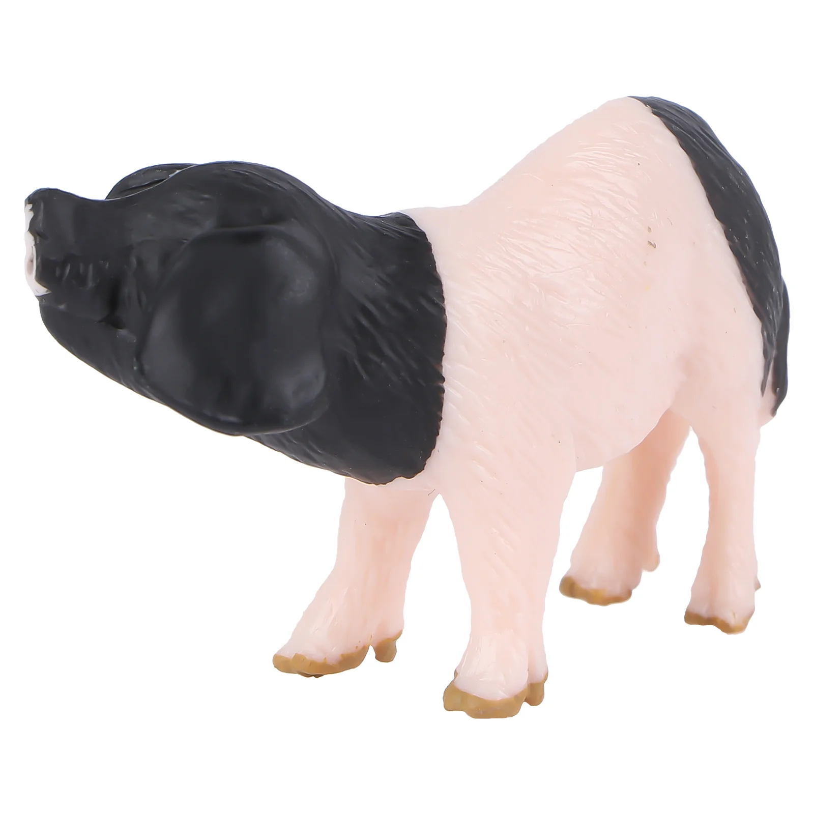 

1Pc Simulation Educational Adornment Model for Collection Decoration