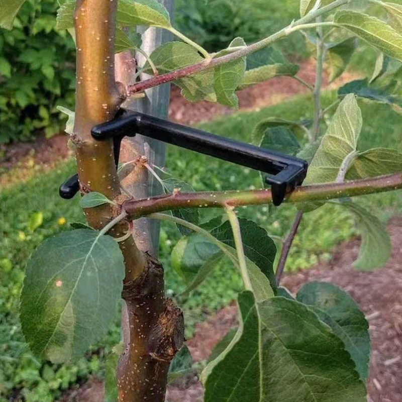 

20 Pcs/set Bonsai Tools Durable Anti Deformed Branch Spreader for Garden Yard Plants Gardening Accessories Adjustable