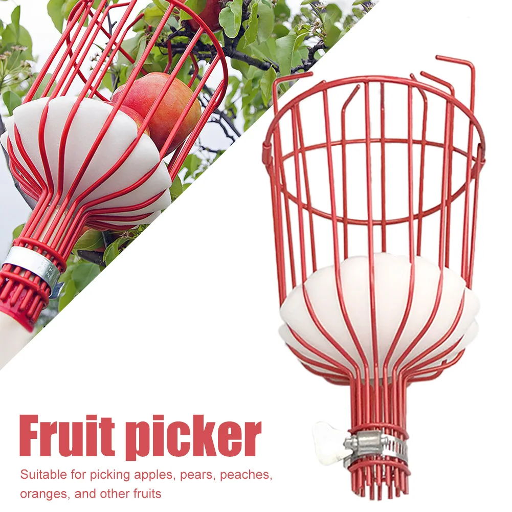 

Fruit Picker Tool Carbon Steel Garden Tool Fruit Picker Basket Detachable High Tree Fruit Catcher for Apple Peach Pear No Pole