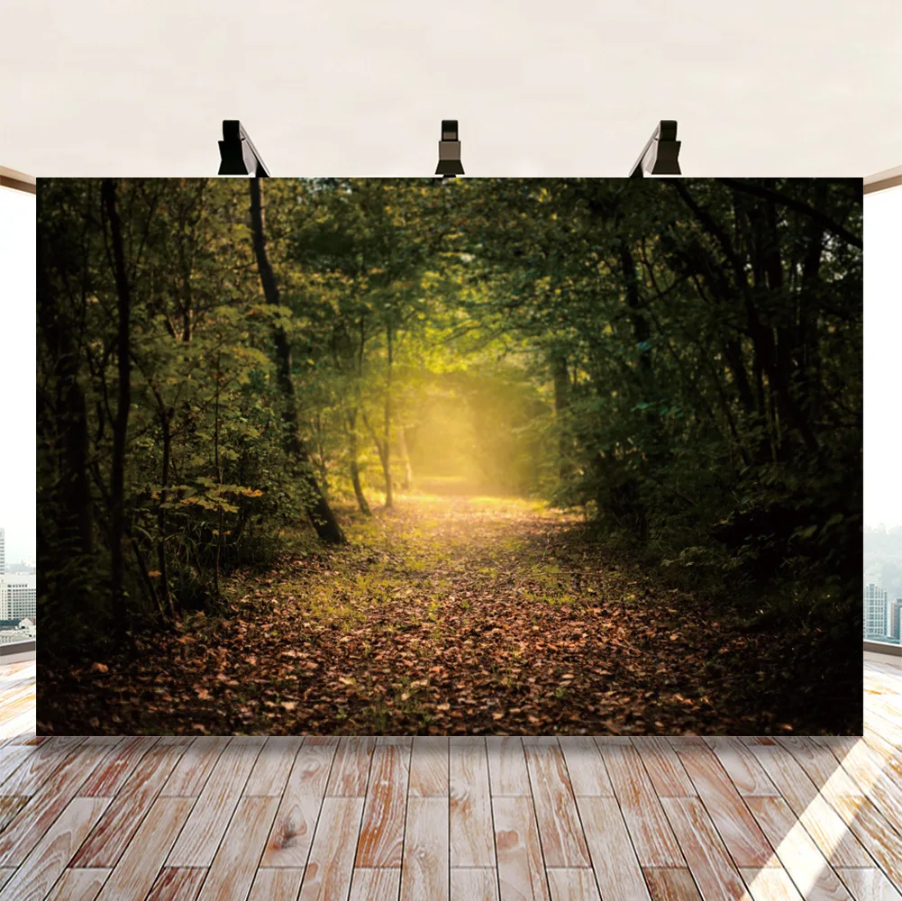 

Тихая бесконечная дорога в лесу фоны художественные фотографии фоны Декорации для загадочной темы фотографии реквизит