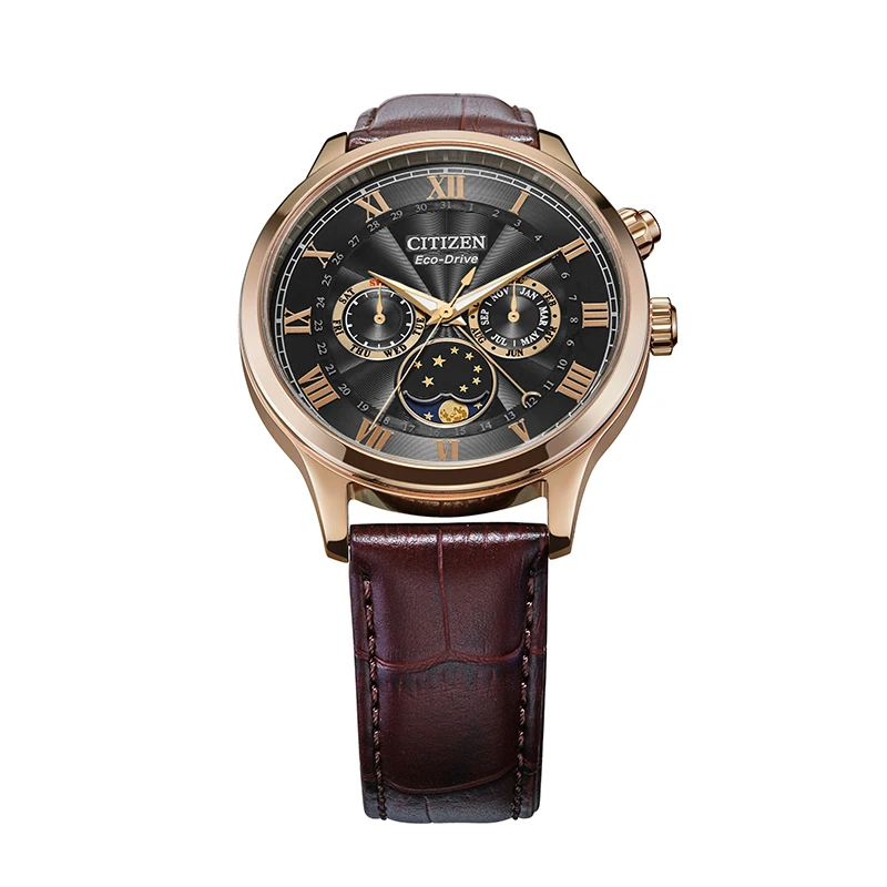 Мужские часы CITIZEN Eco-Drive Elegant Star Moon Blue Disc со стальным ремешком мужские AP1059-19E