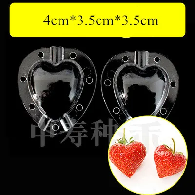 

Пластиковая форма для укладки фруктов