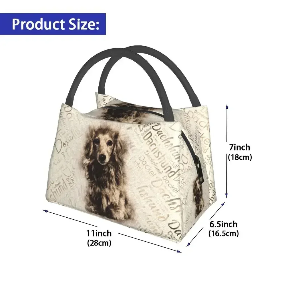 Длинношерстные изолированные сумки для обеда с собакой таксы женщин барсук