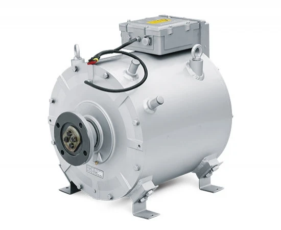 Рисунок 5 - Электрический синхронный двигатель