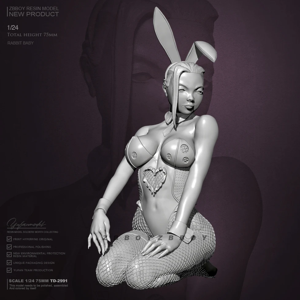 

1/24 набор моделей из смолы, красивая бесцветная и самособранная фотография