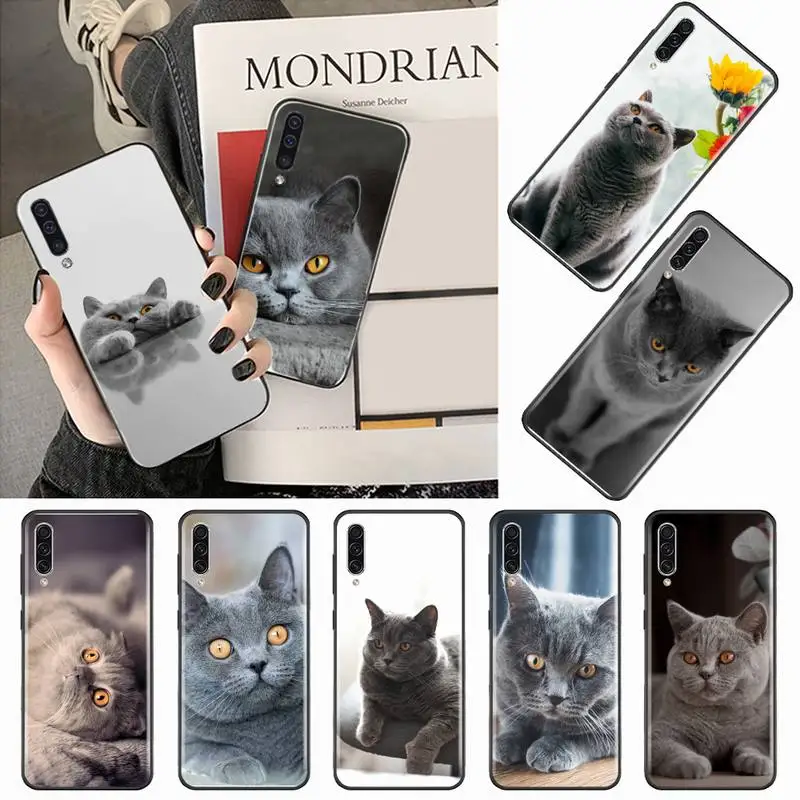 

British Shorthair cat Phone Case For Samsung galaxy A S note 10 12 20 32 40 50 51 52 70 71 72 21 fe s ultra plus
