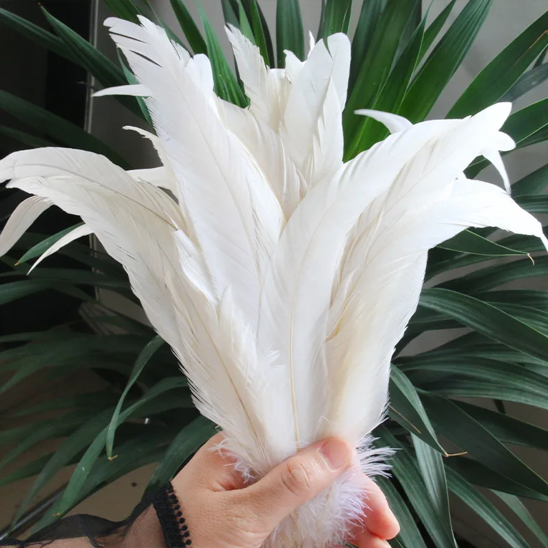 

20/50/100 Three specifications diy Handmade long Feather Ornament Accessories Crafts clothing accessories pheasant feathers