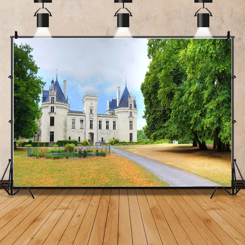 

Castle Palace Indoor Photography Background Newborn Child Portrait Birthday Photo Background Photo Gallery Props CB-17