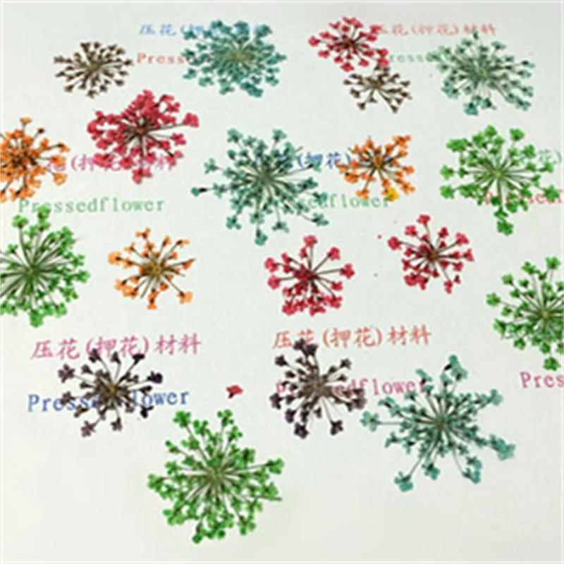 

50pcs 3D Dried Flowers Nail Art Decorations Real Dried Flower Stickers Jewelry For Manicure Charms Designs DIY Nails Accessories