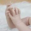 Изображение товара 5