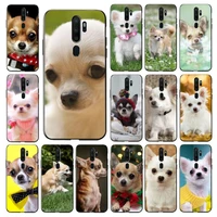 maiyaca cute pet chihuahua dog phone case for vivo y91c y11 17 19 17 67 81 oppo a9 2020 realme c3