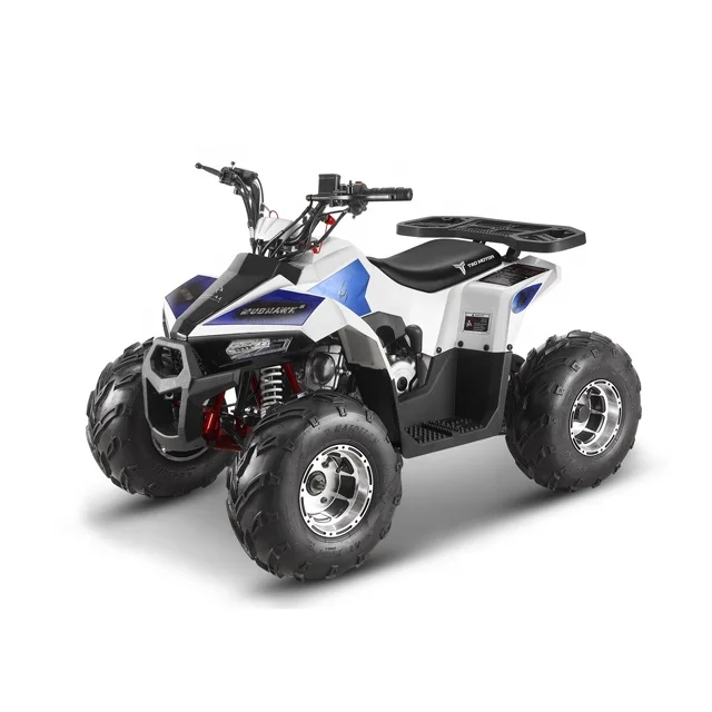 

Tao Motor Chain Drive Quad ATV 110cc Mudhawk 110 with EPA ECE