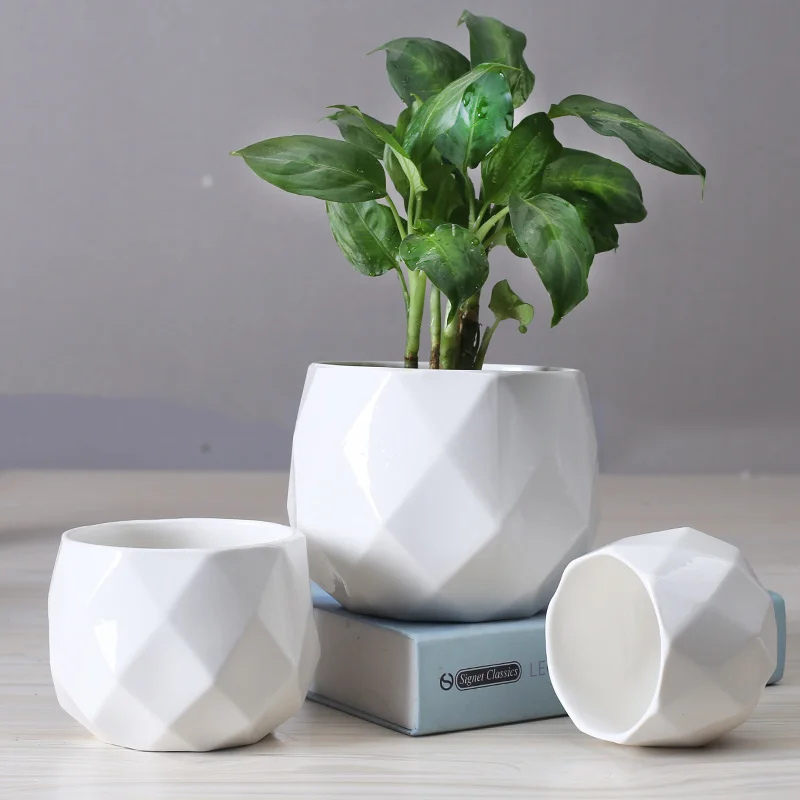 

European Simple Polyhedron White Ceramic Flowerpot Personalized Flower Garden Balcony Vegetable Garden Meat Flowerpot Ornaments