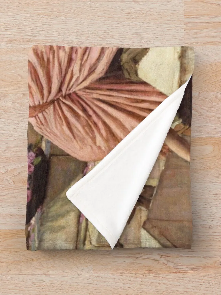 Диогены - Одеяло John William Waterhouse плюшевое одеяло для дивана одеяла на Хэллоуин