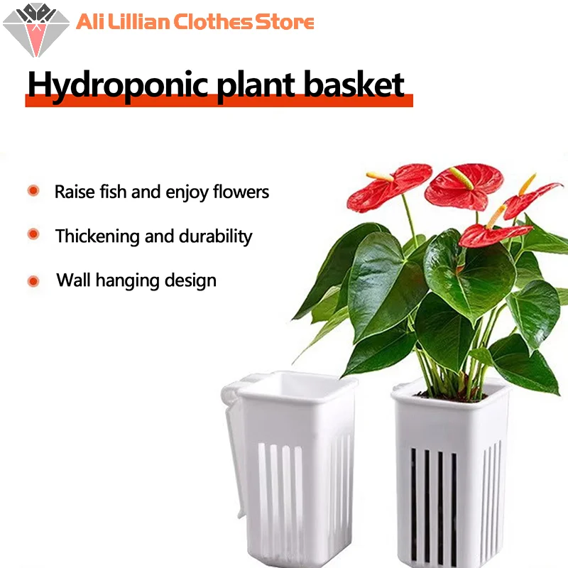 Блюдце Для Водных Растений Подвесной Настенный Горшок Гидропонных Горшков