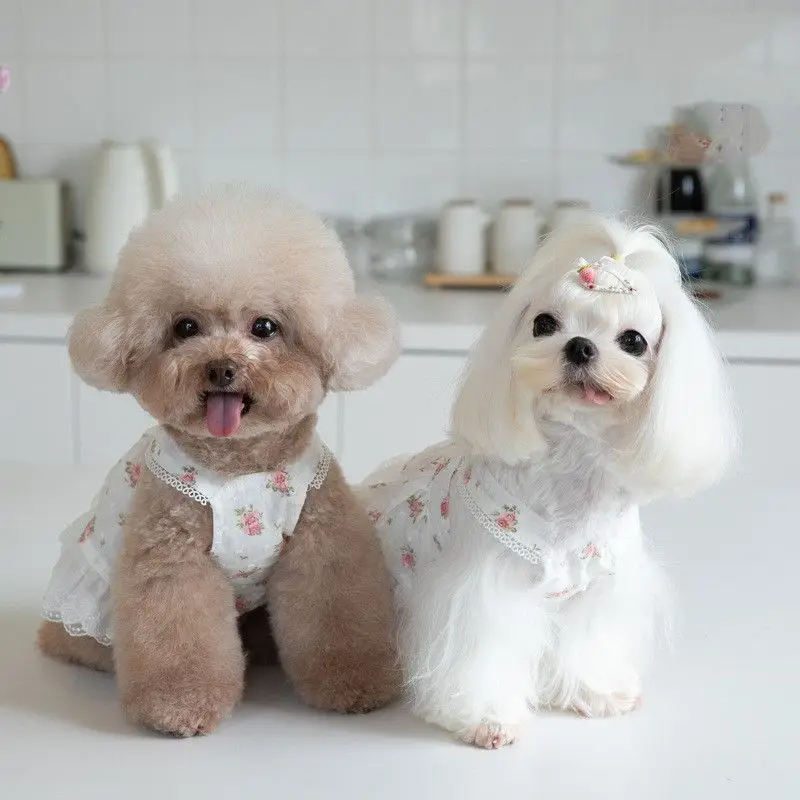 

Dog Dress Cat Skirt Cute Female Dog Costume Apparel Chihuahua Yorkie Maltese Shih Tzu Bichon Pomeranian Poodle Pet Clothing 2023