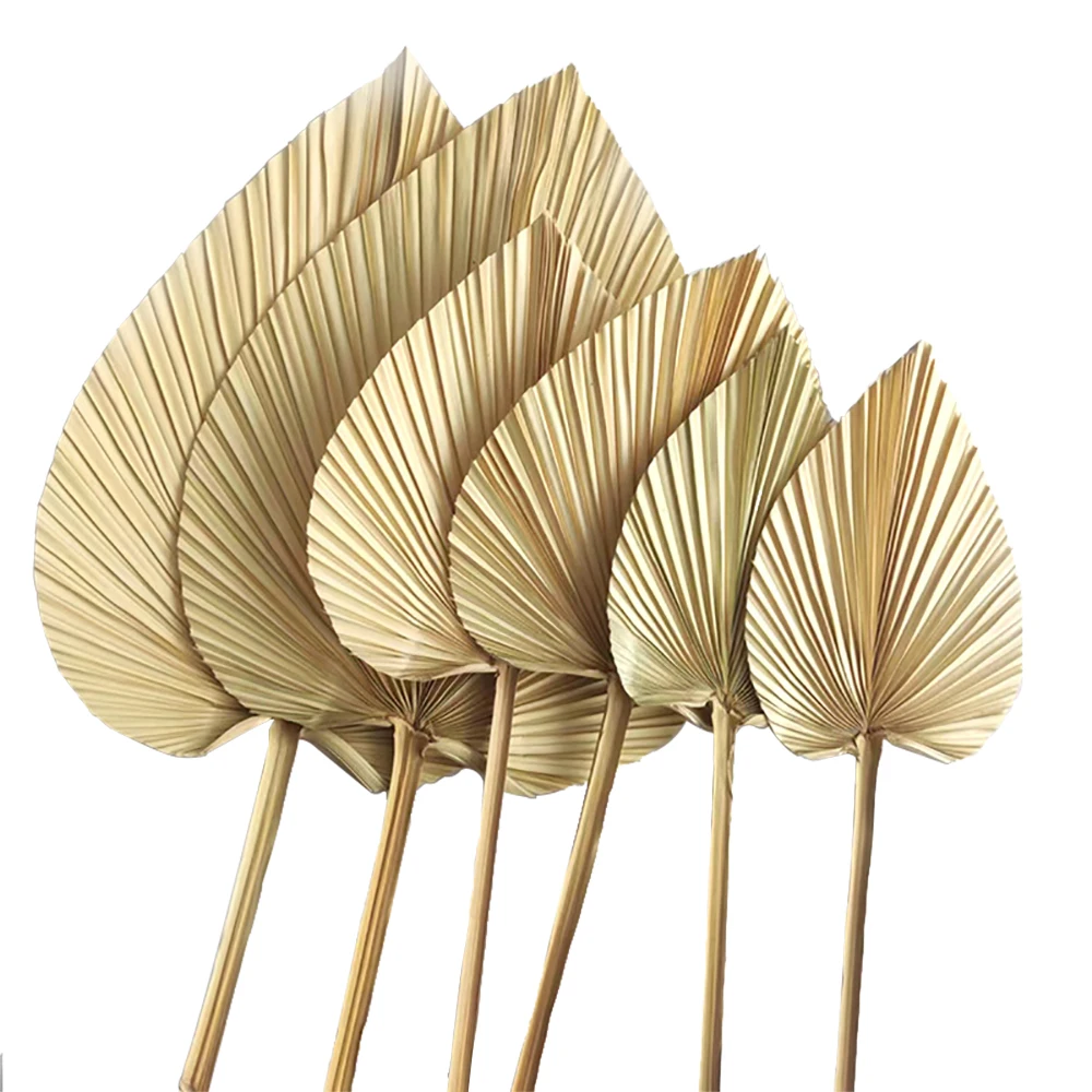 5PCS Dried Palm Leaves Dried Palm Fans Room Home Decor Boho Look Wedding Outdoor Decoration Artificial Plant Dried Flowers Arch
