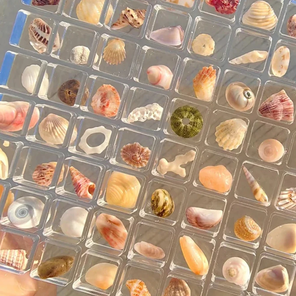 Акриловая магнитная коробка для хранения ракушек декоративная 36/64 сетки витрина