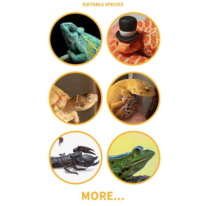 Цельные миски для кормления рептилий террариумная тарелка кормушка как показано