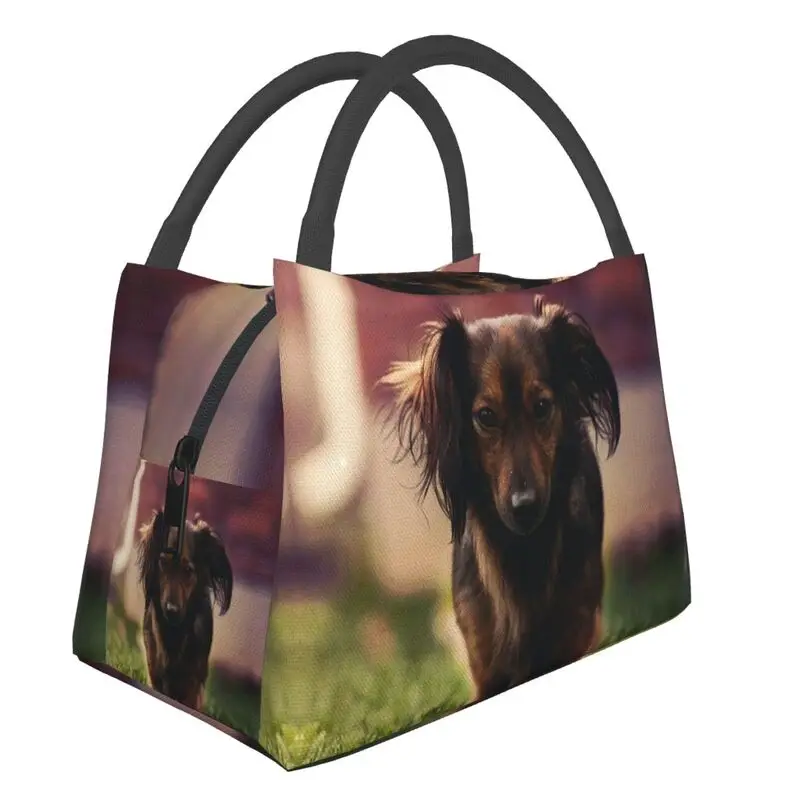 

Hand-held insulated refrigerated lunch bag is portable, stylish and simple, suitable for picnics