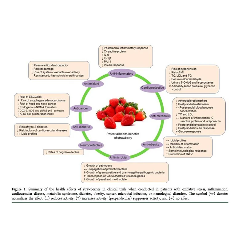 Чистый натуральный травяной бальзам для губ удаления черных устранение