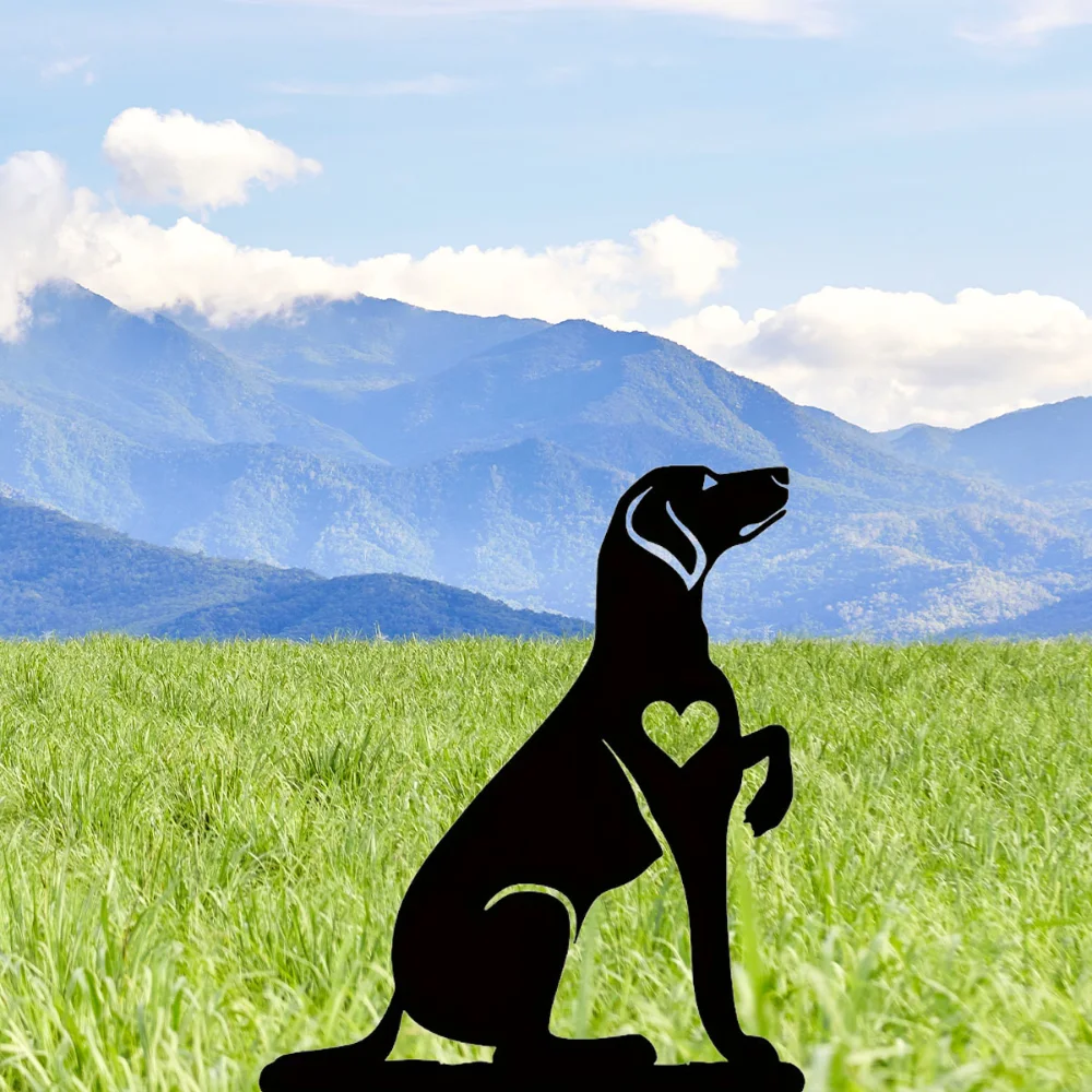 Оптимистический Металлический Садовый Кол Уличное Украшение Fisk Iron Art Силуэт