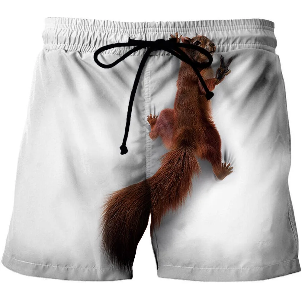 

2022 Summer Animal Squirrel Man Summer Dry man beach pants Shorts board pants simple pattern 3D printing realistic animals