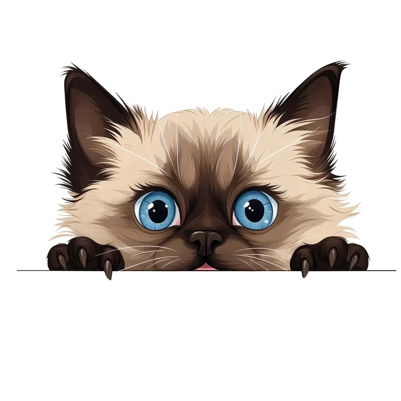 

Водонепроницаемая наклейка с котом