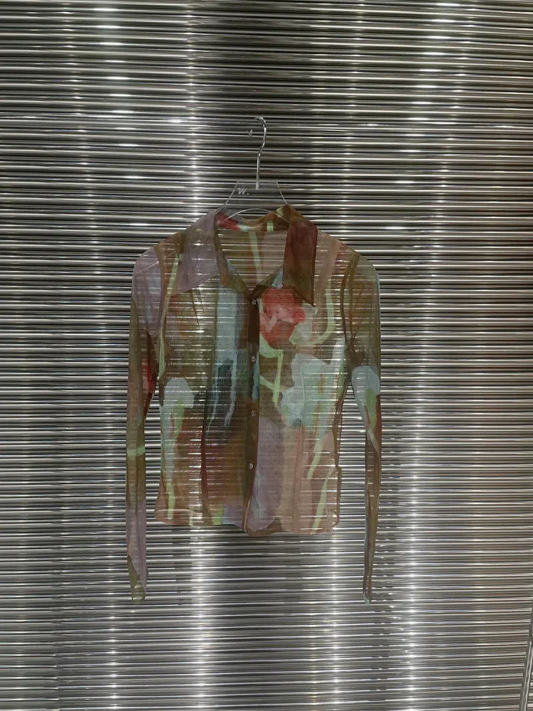 

2023 New Women Spring And Summer Fashion Casual Comfortable Long Sleeves Printed Mesh Shirt Top