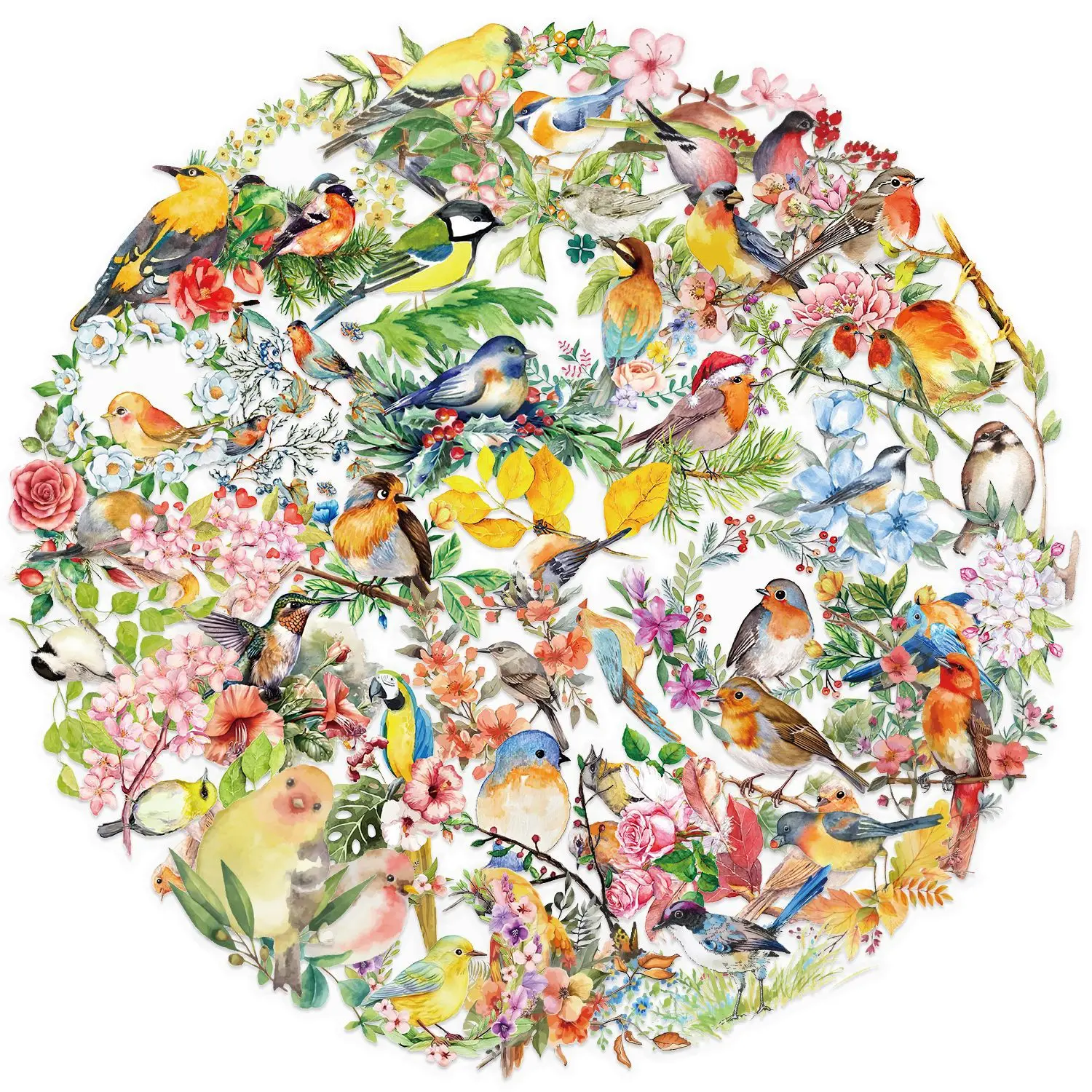 

50 Шт. Прозрачные Акварельные Наклейки С Рисунком Птицы, Водонепроницаемые Наклейки Для Дома, Декора Для Домашних Животных