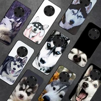 alaskan huskies dog phone case for huawei y5 y62019 y52018 y92019 funda case for 9prime2019
