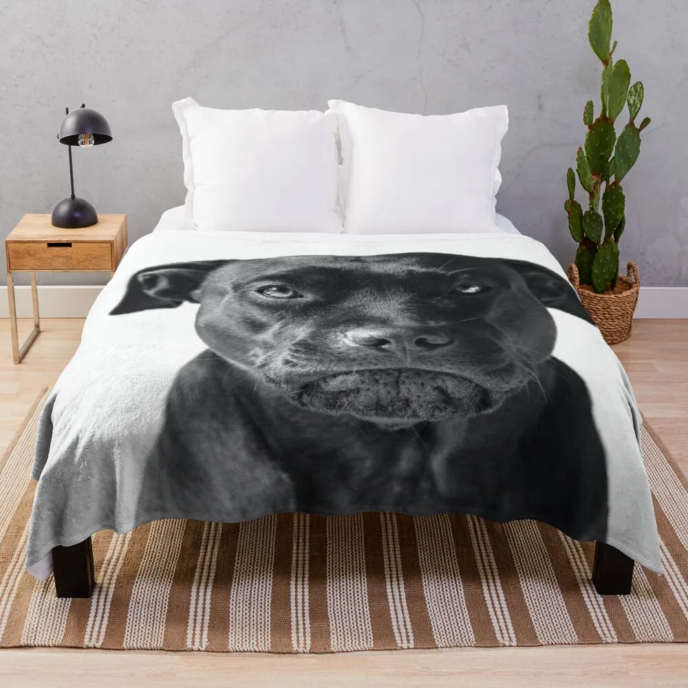 

Cute Staffordshire Bull Terrier Throw Blanket Fluffy Soft Blankets