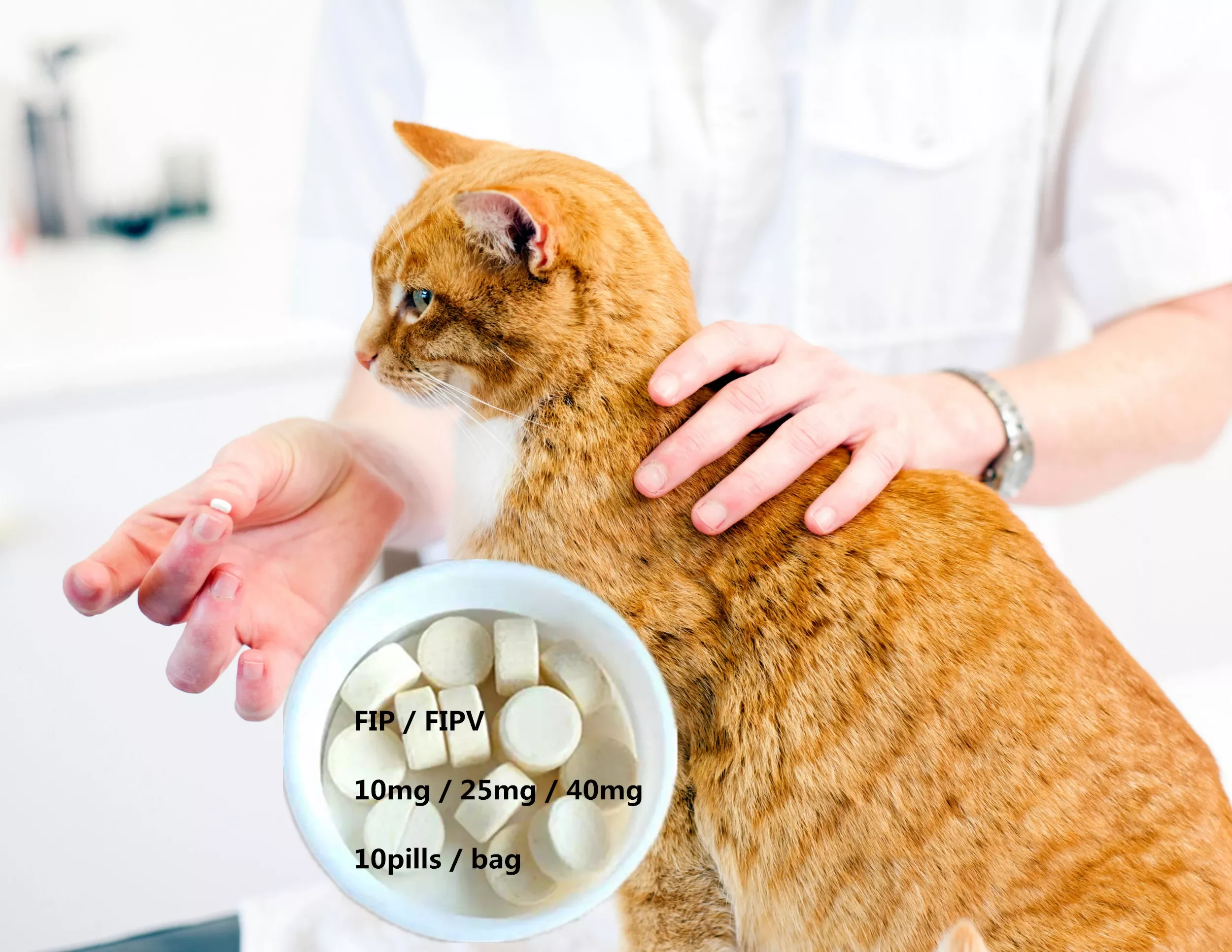 

Таблетки для кормления кошек FIP/FIPV, инфекционный перитонит