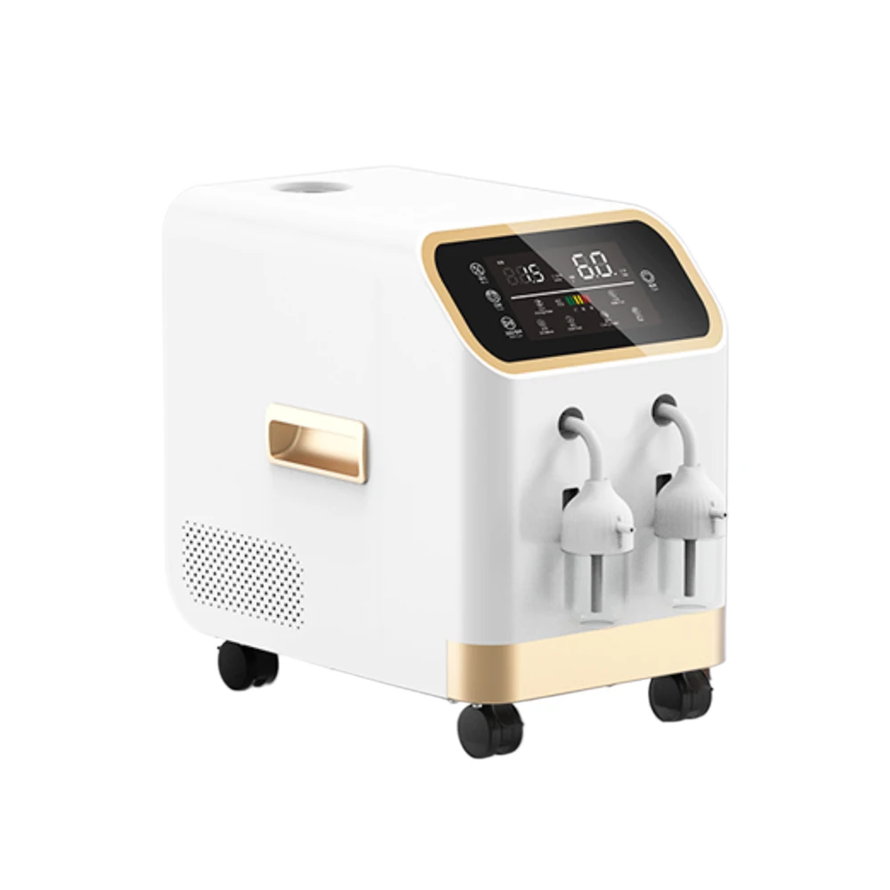 Рисунок 2 - Профессиональный Настольный кислородный